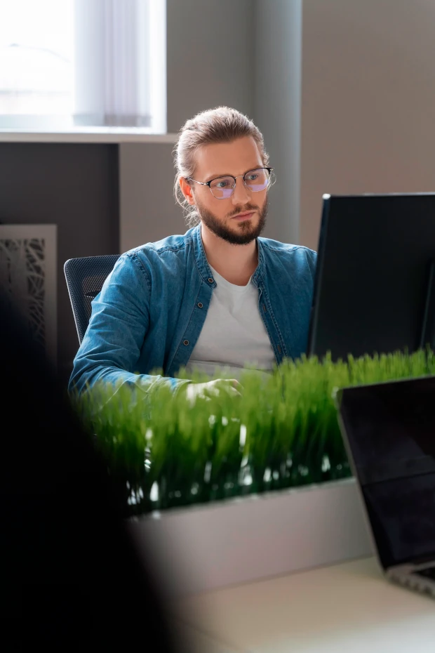 Software quality engineer